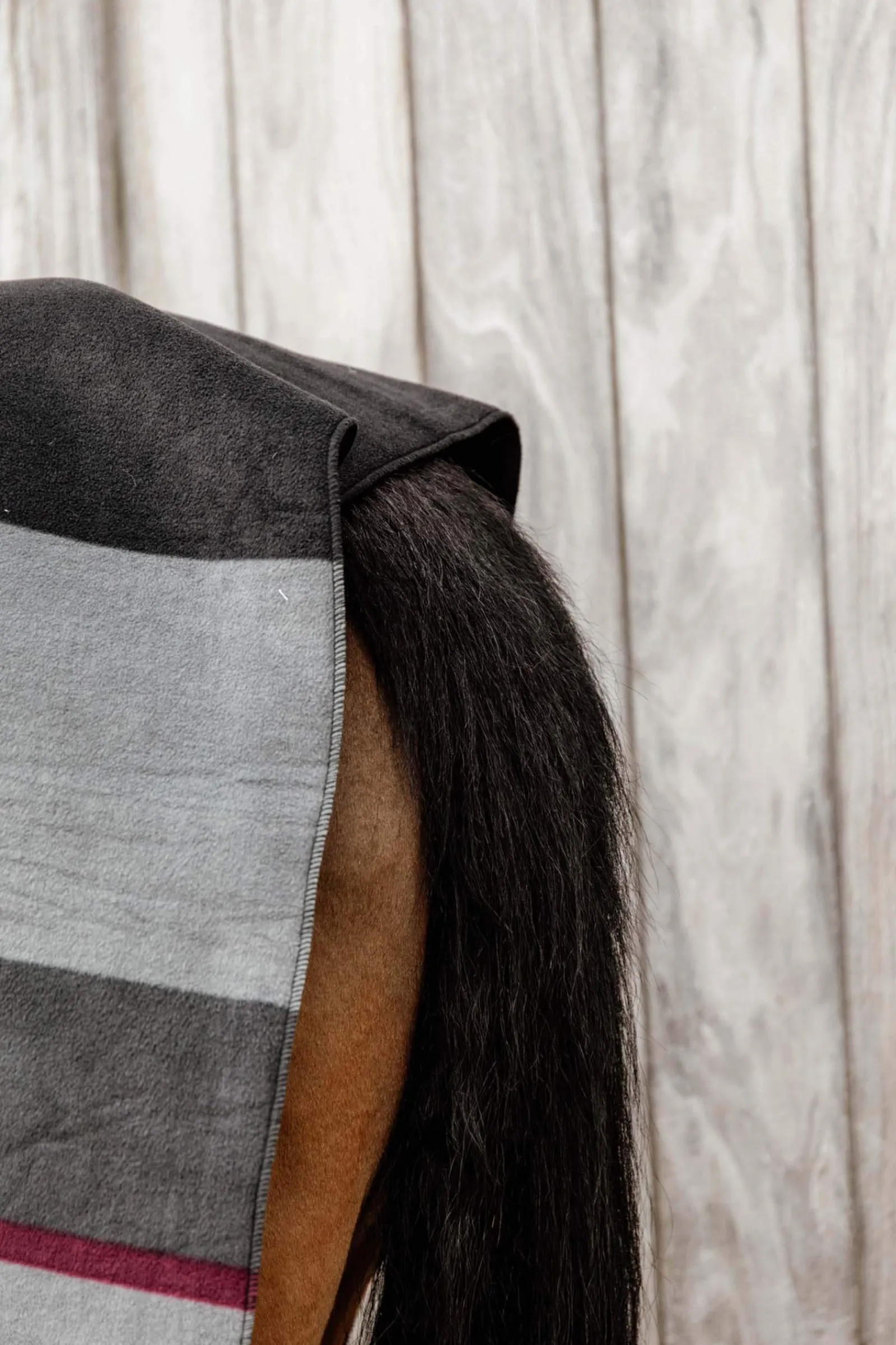 Best Horsewear Heavy Fleece Rug Fleece Horse Rugs & Cooler Rugs