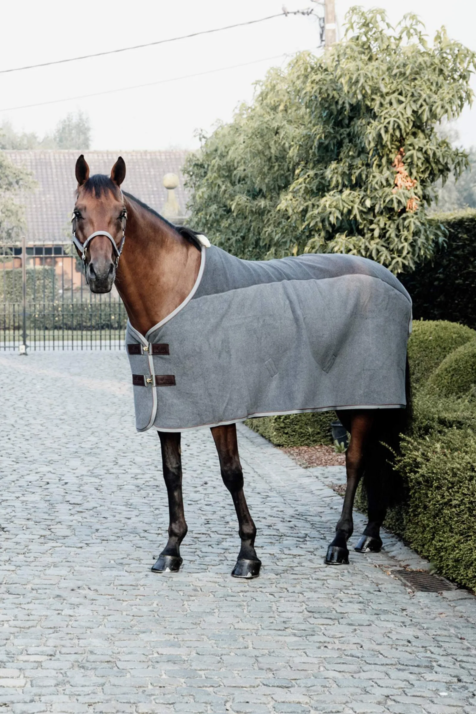 Hot Horsewear Heavy Fleece Cooler Fleece Horse Rugs & Cooler Rugs