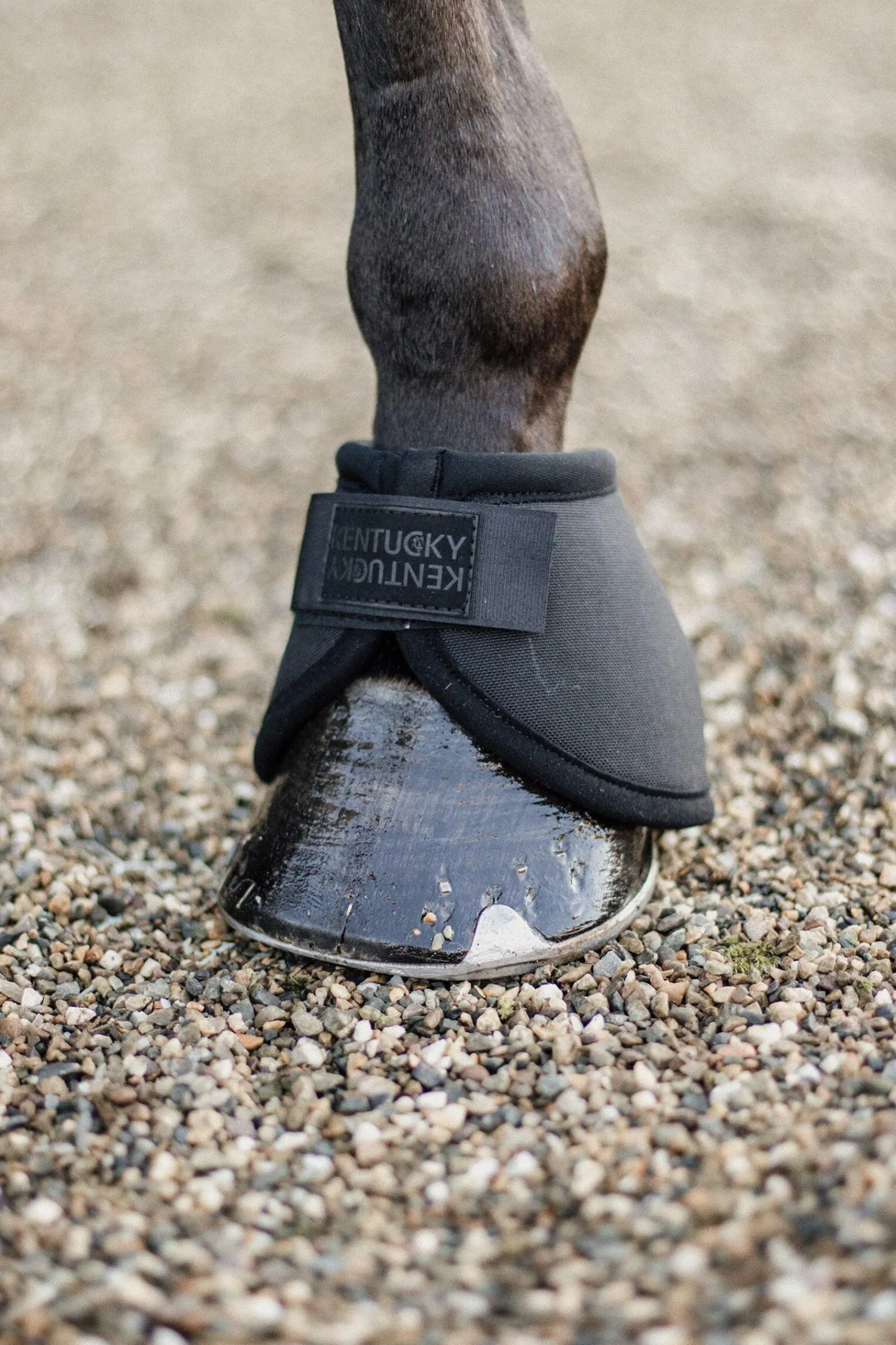 Hot Horsewear Heel Protection Overreach Boots Pony Boots|Over Reach Boots