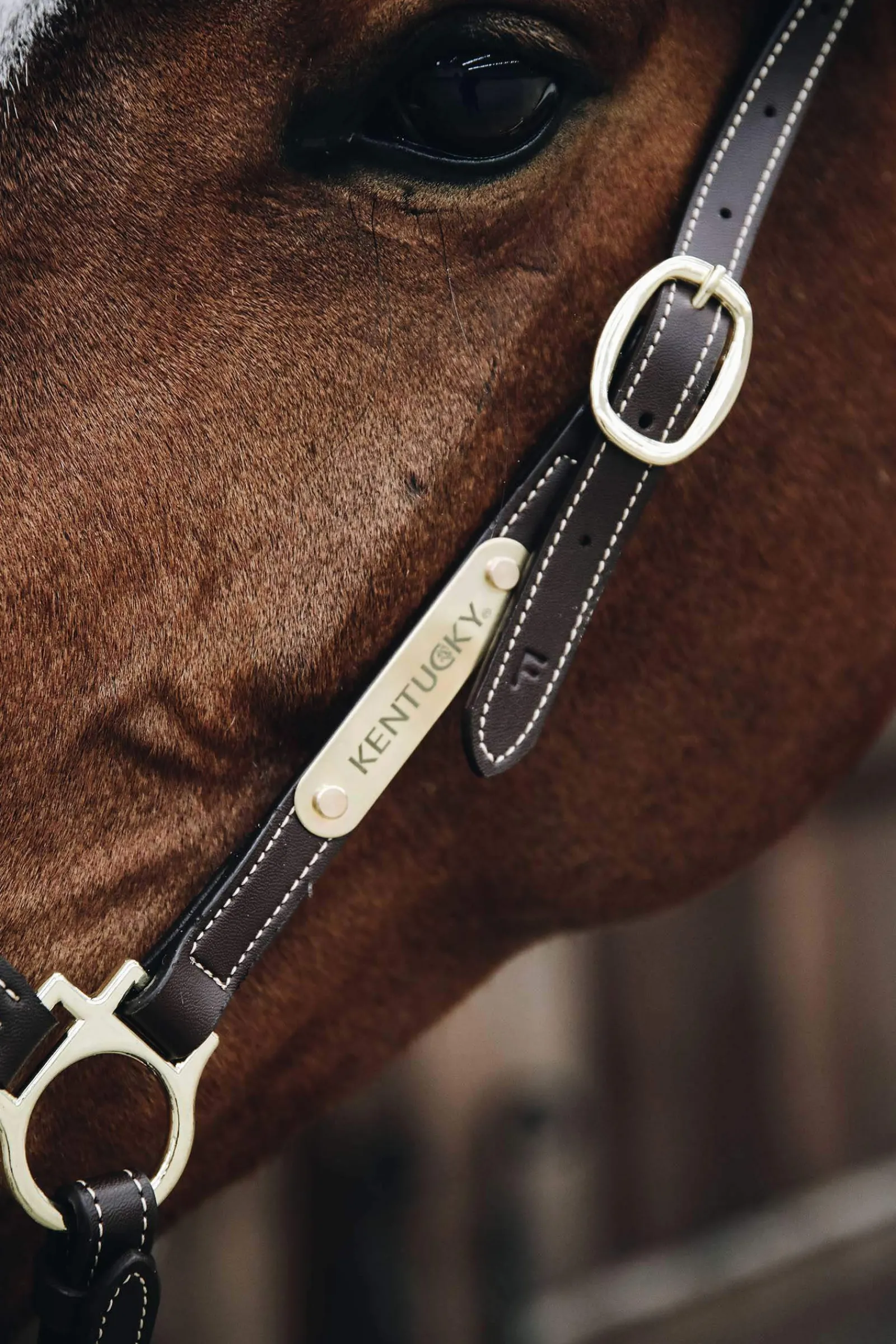 New Horsewear Leather Grooming Halter Leather Headcollars