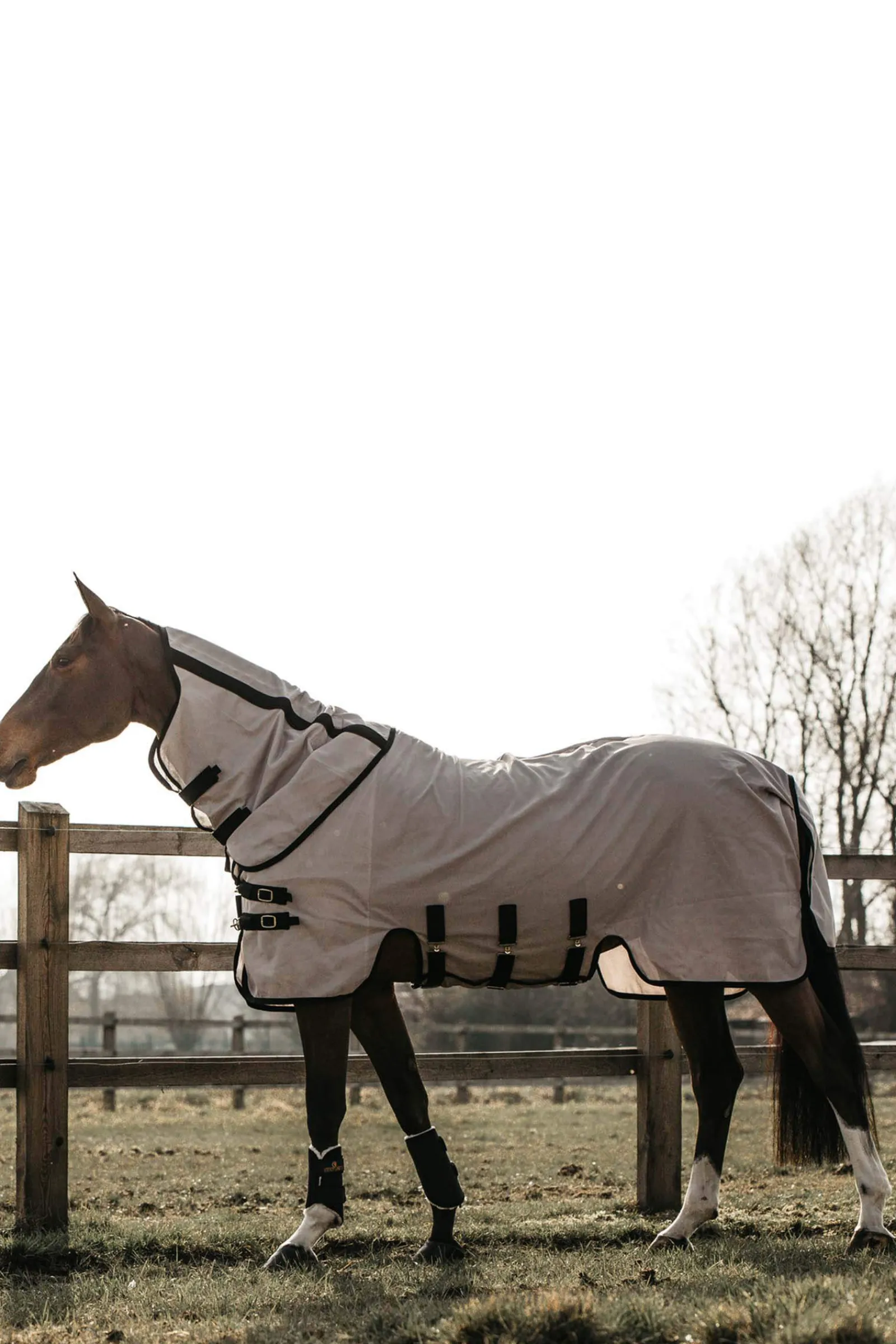Sale Horsewear Mesh Fly Rug Fly Rugs|Fly Rugs