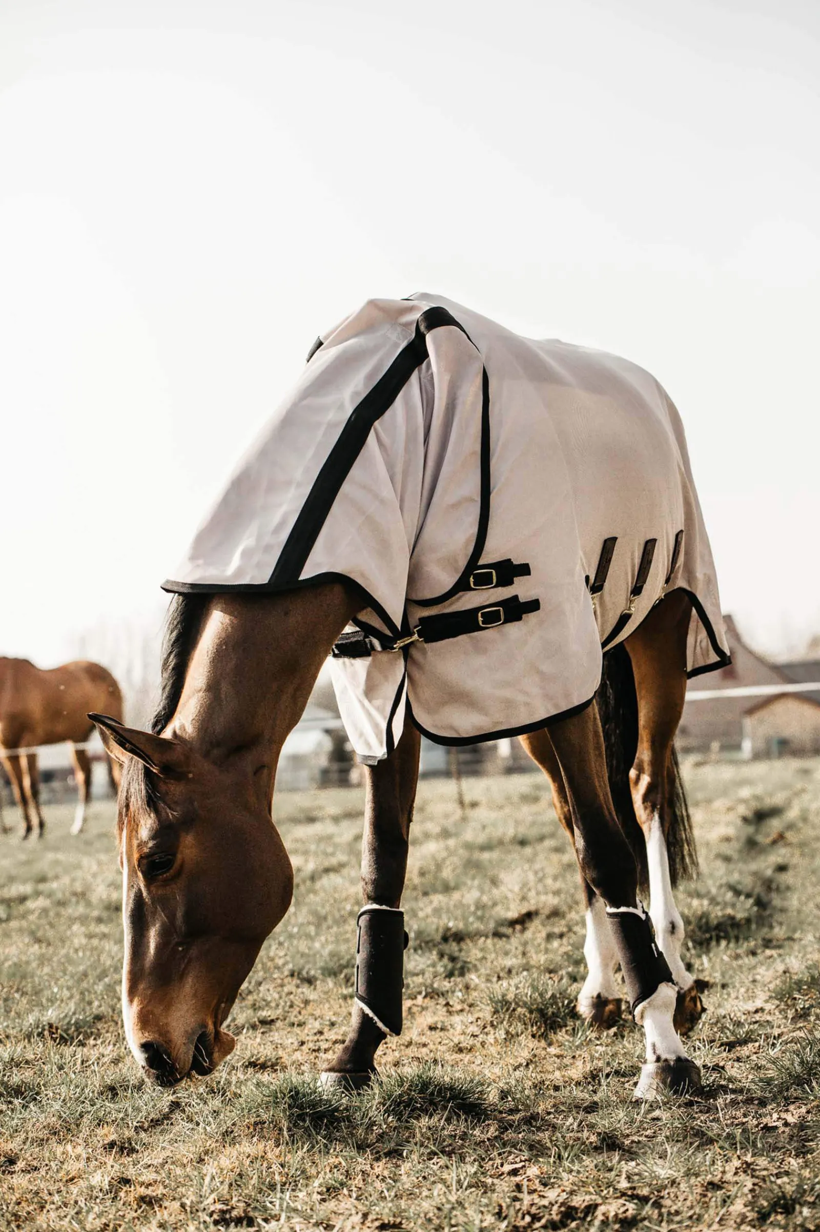 Sale Horsewear Mesh Fly Rug Fly Rugs|Fly Rugs
