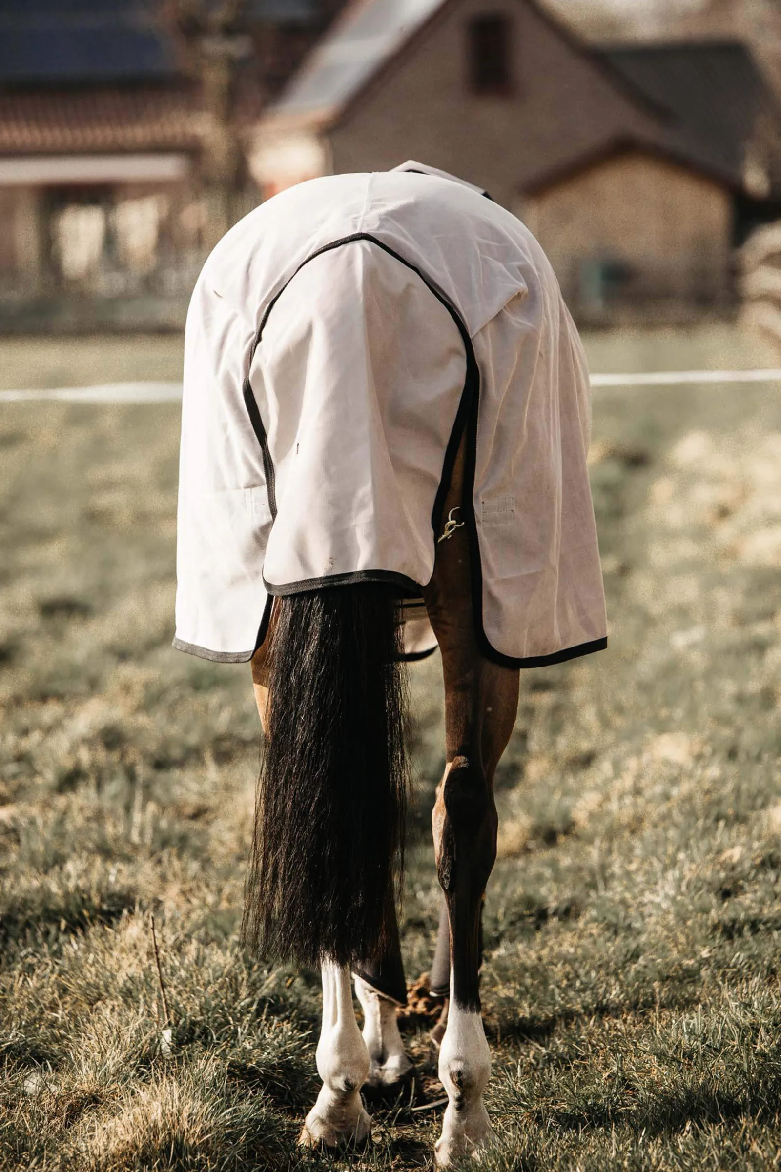 Sale Horsewear Mesh Fly Rug Fly Rugs|Fly Rugs