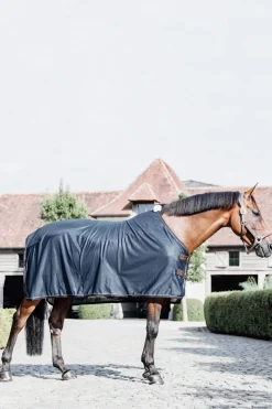 Fashion Horsewear Mesh Fly Sheet Fly Rugs|Fly Rugs