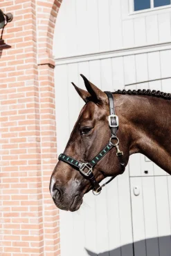 Sale Horsewear Pearls Halter Headcollars & Halters
