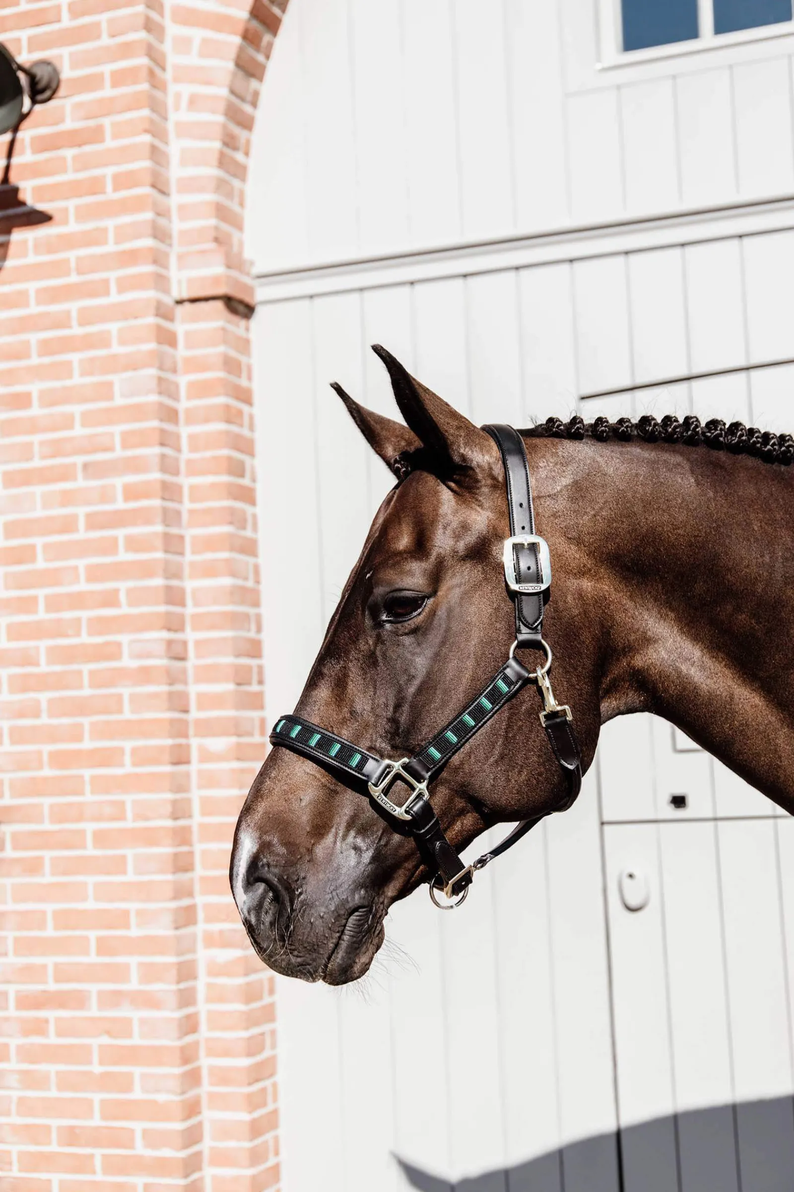 Sale Horsewear Pearls Halter Headcollars & Halters