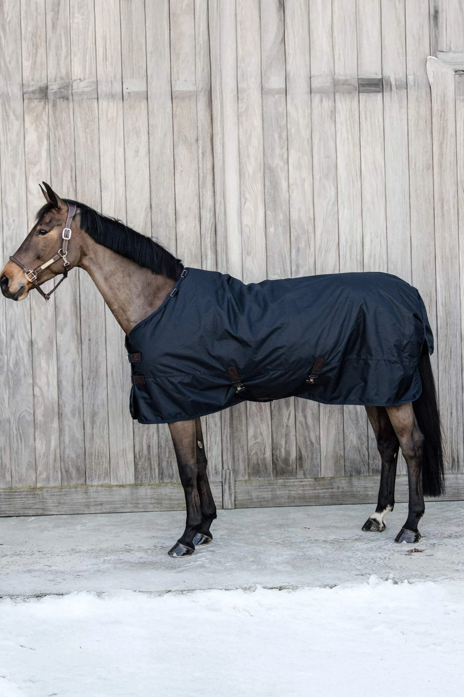 New Horsewear Pony All Weather Classic Turnout Rug, 0g Pony Rugs|Pony Rugs