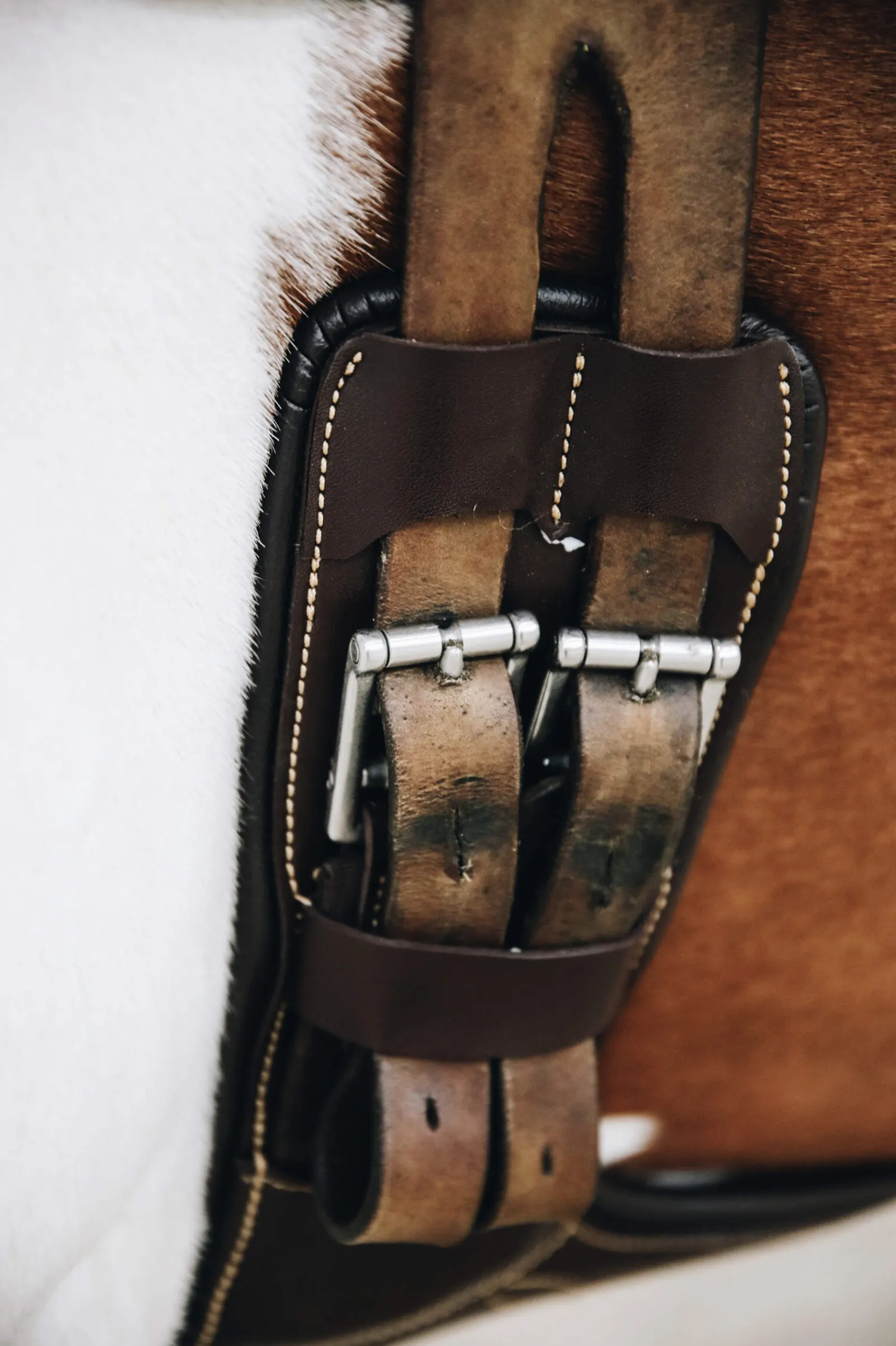 Best Horsewear Short Stud Girth Girths