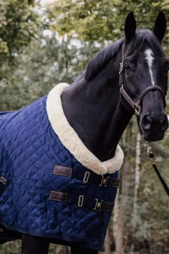 Discount Horsewear Show Rug, 160g Stable Rugs & Liners