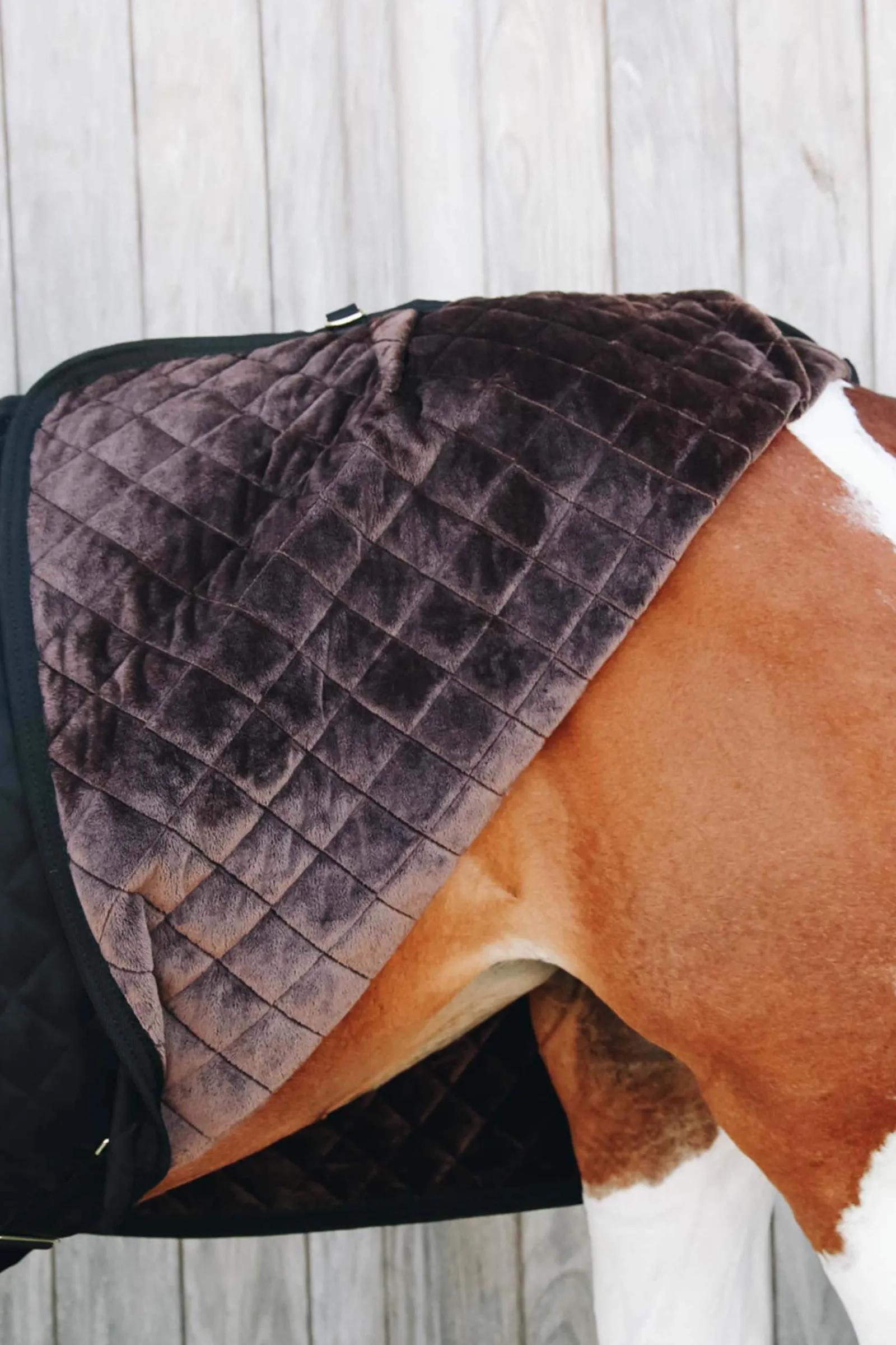 Sale Horsewear Show rug 160g Stable Rugs & Liners