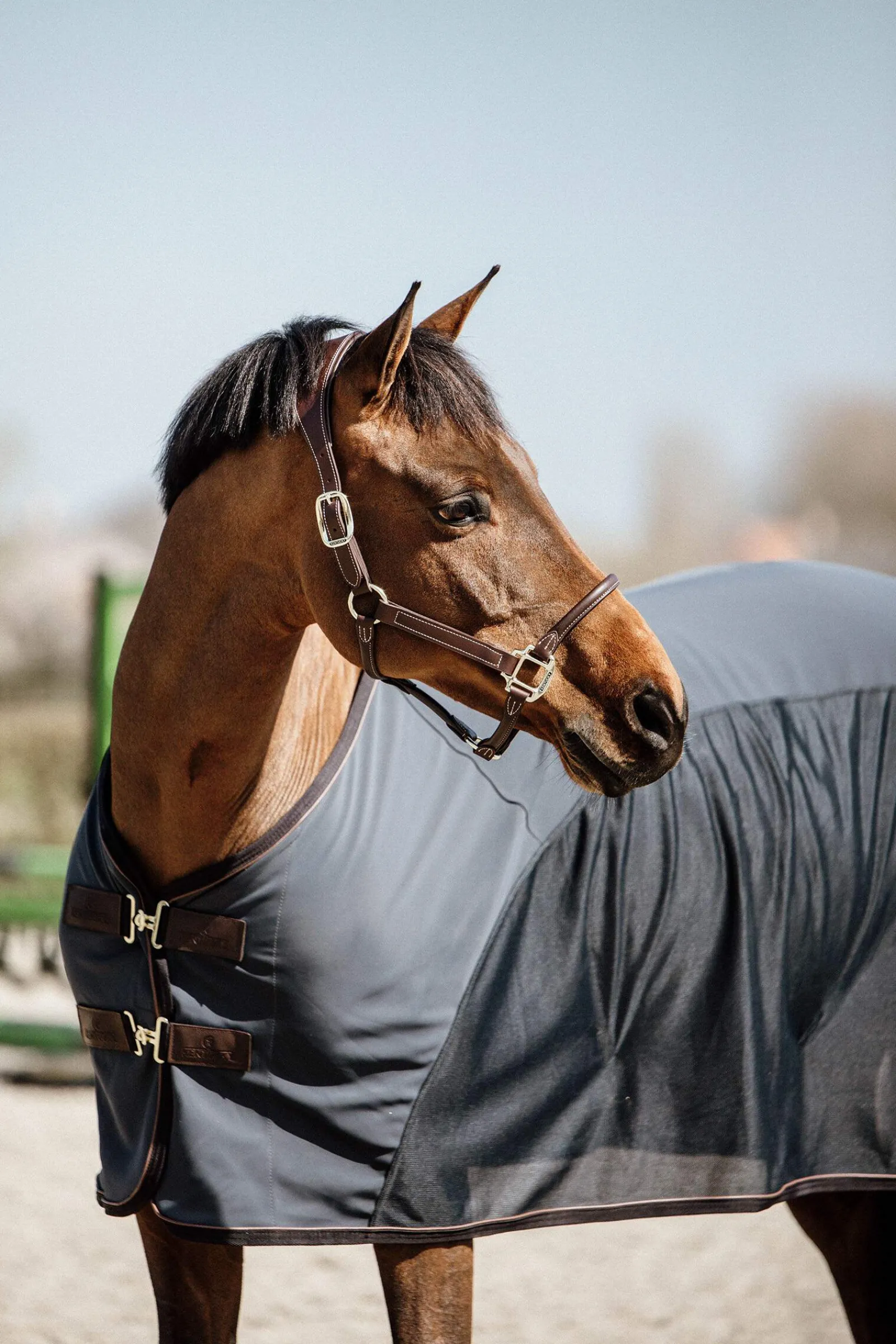 Online Horsewear Softshell Cooler Fleece Horse Rugs & Cooler Rugs