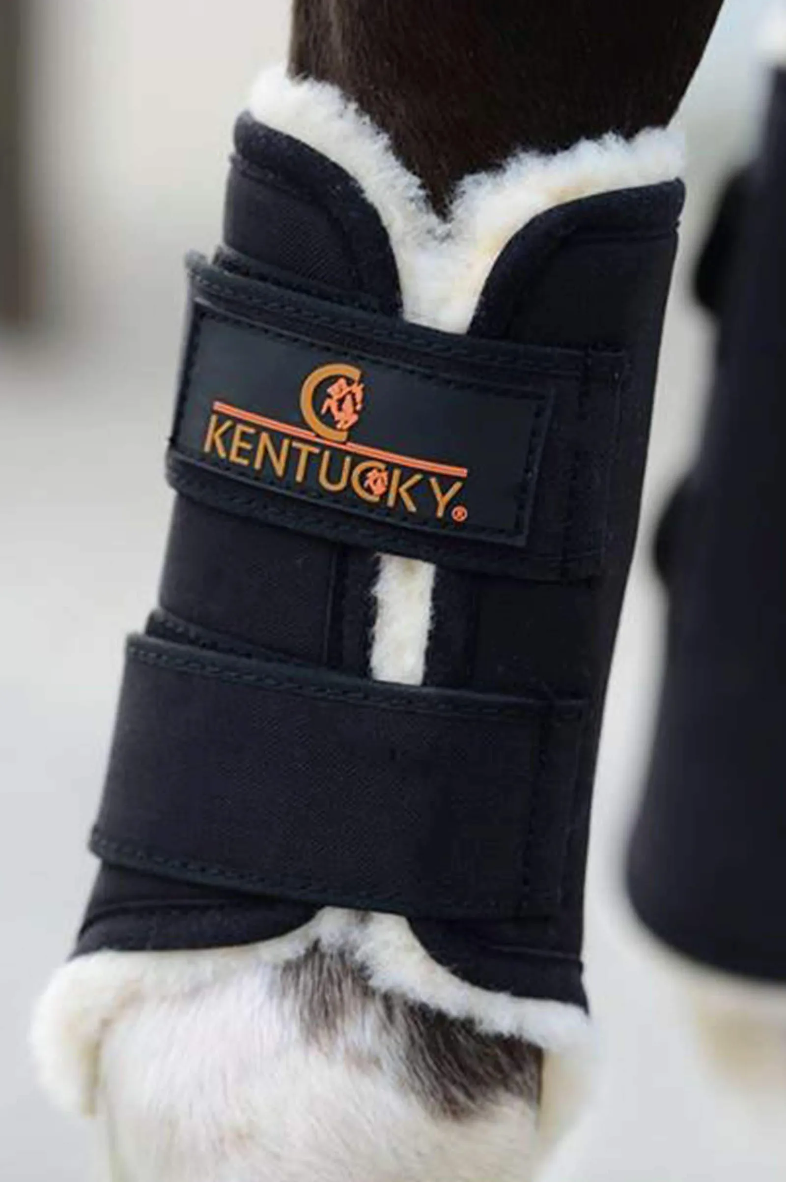 Outlet Horsewear Solimbra Turnout Boots, Hind Horse Boots