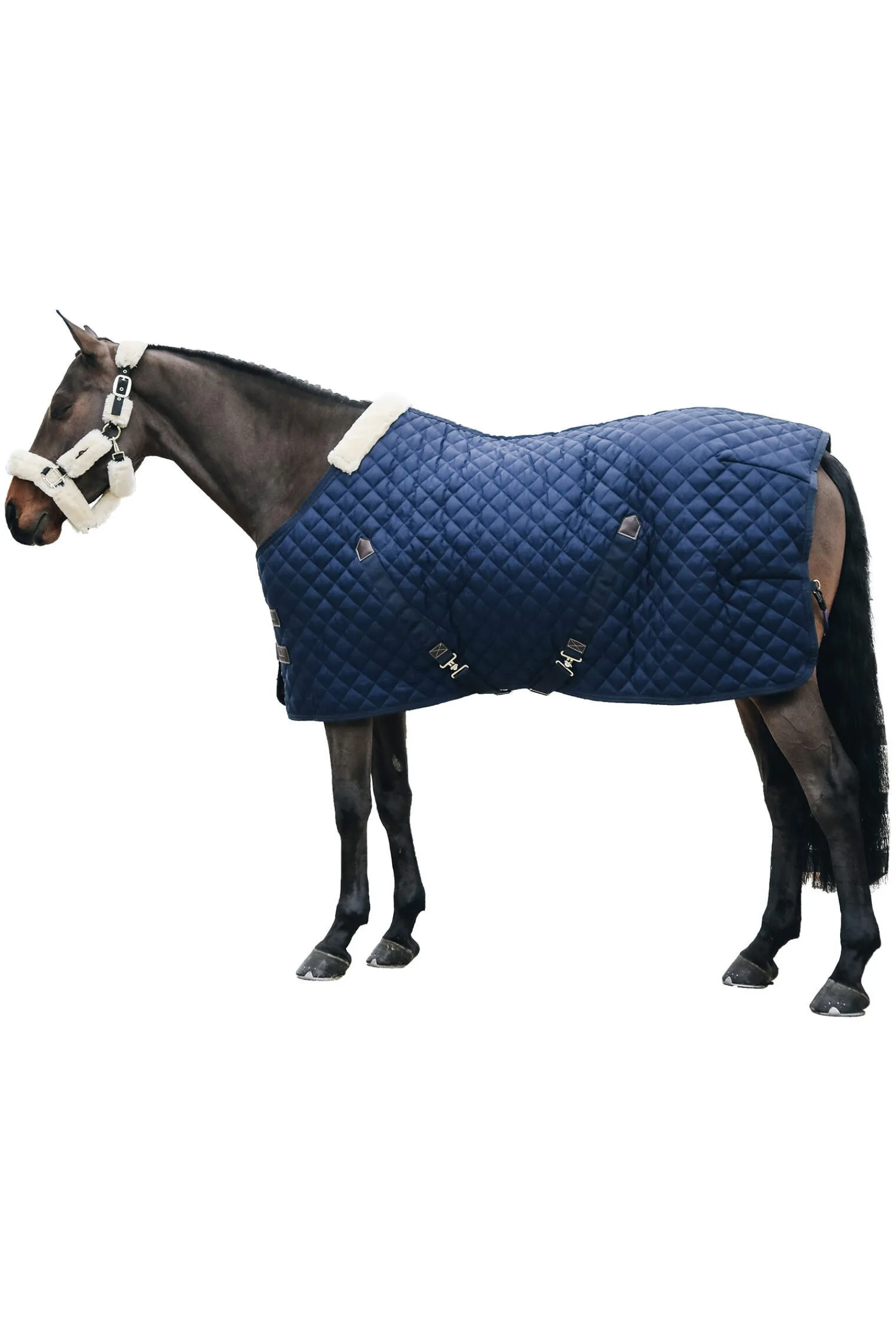 Hot Horsewear Stable Rug, 400g Stable Rugs & Liners