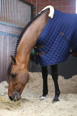 Hot Horsewear Stable Rug, 400g Stable Rugs & Liners