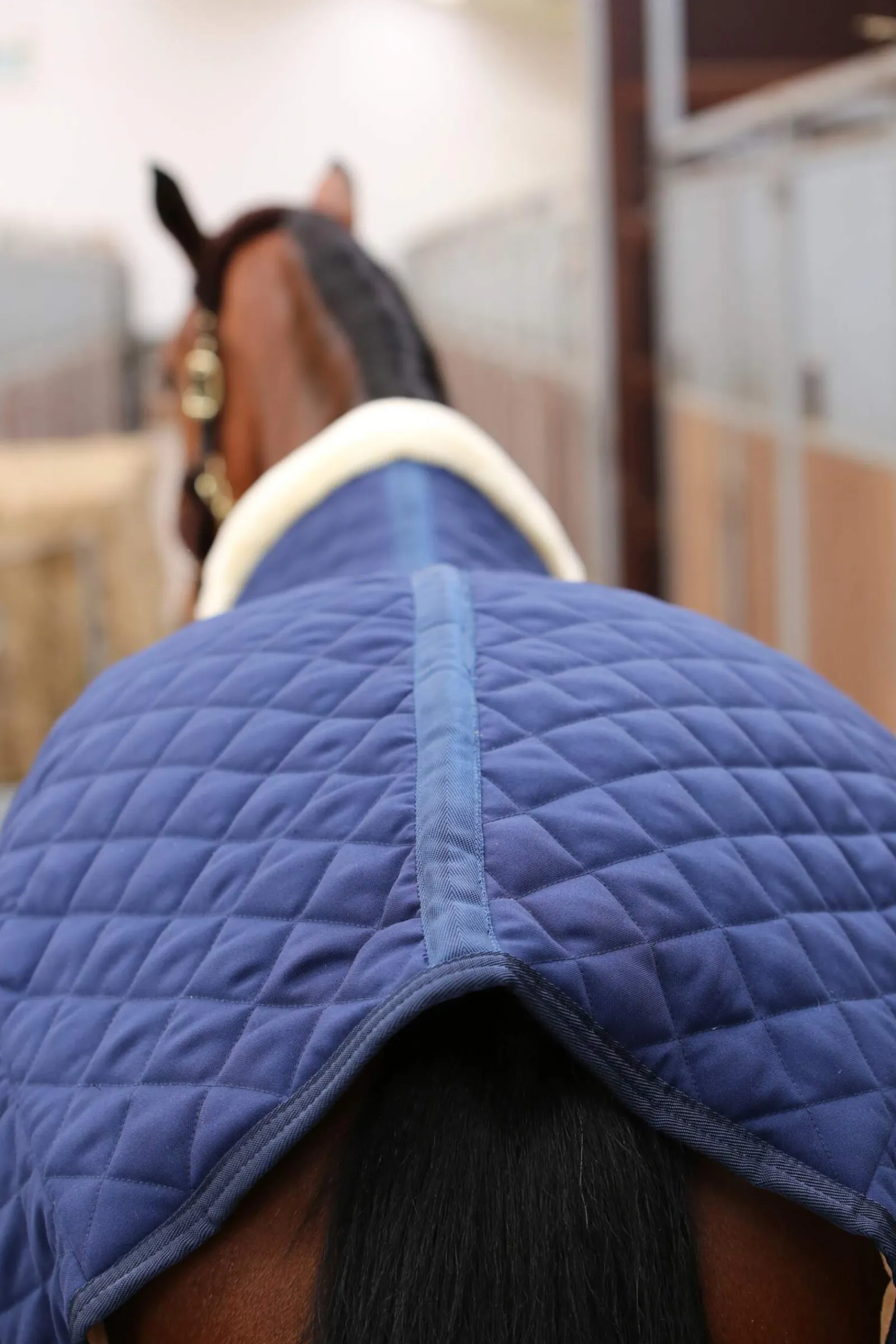 Hot Horsewear Stable Rug, 400g Stable Rugs & Liners