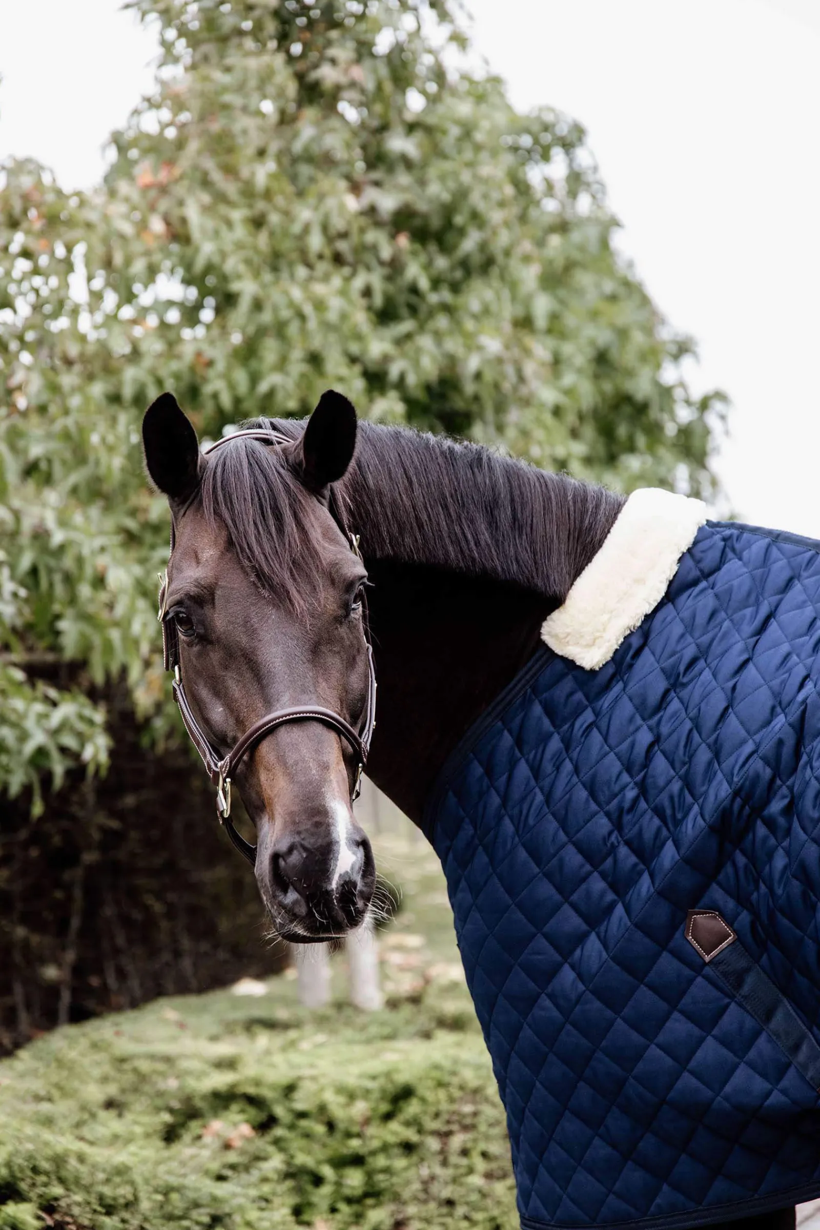 Discount Horsewear Stable Rug, 200g Stable Rugs & Liners