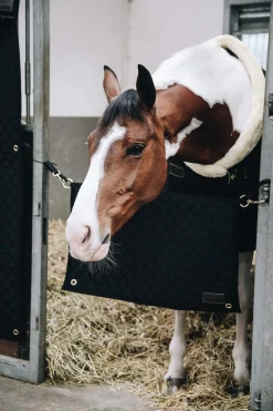 Hot Horsewear Stable Guard Stable Accessories