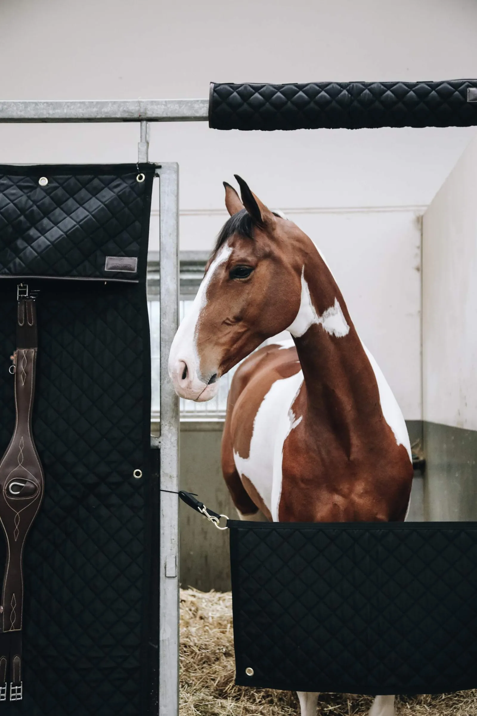 Hot Horsewear Stable Guard Stable Accessories