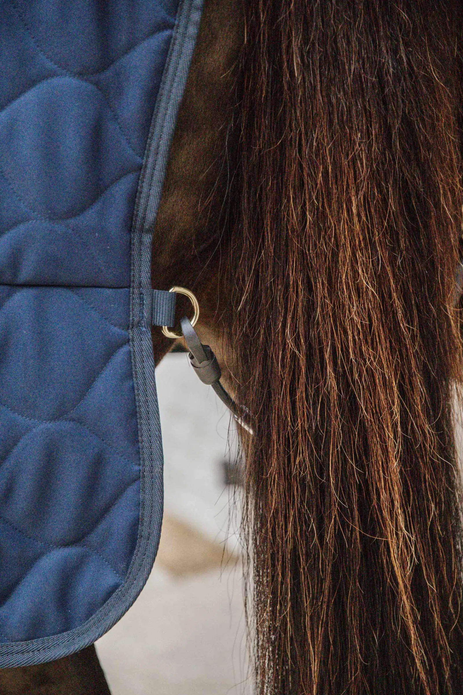 Clearance Horsewear Stable rug comfort 100g Stable Rugs & Liners