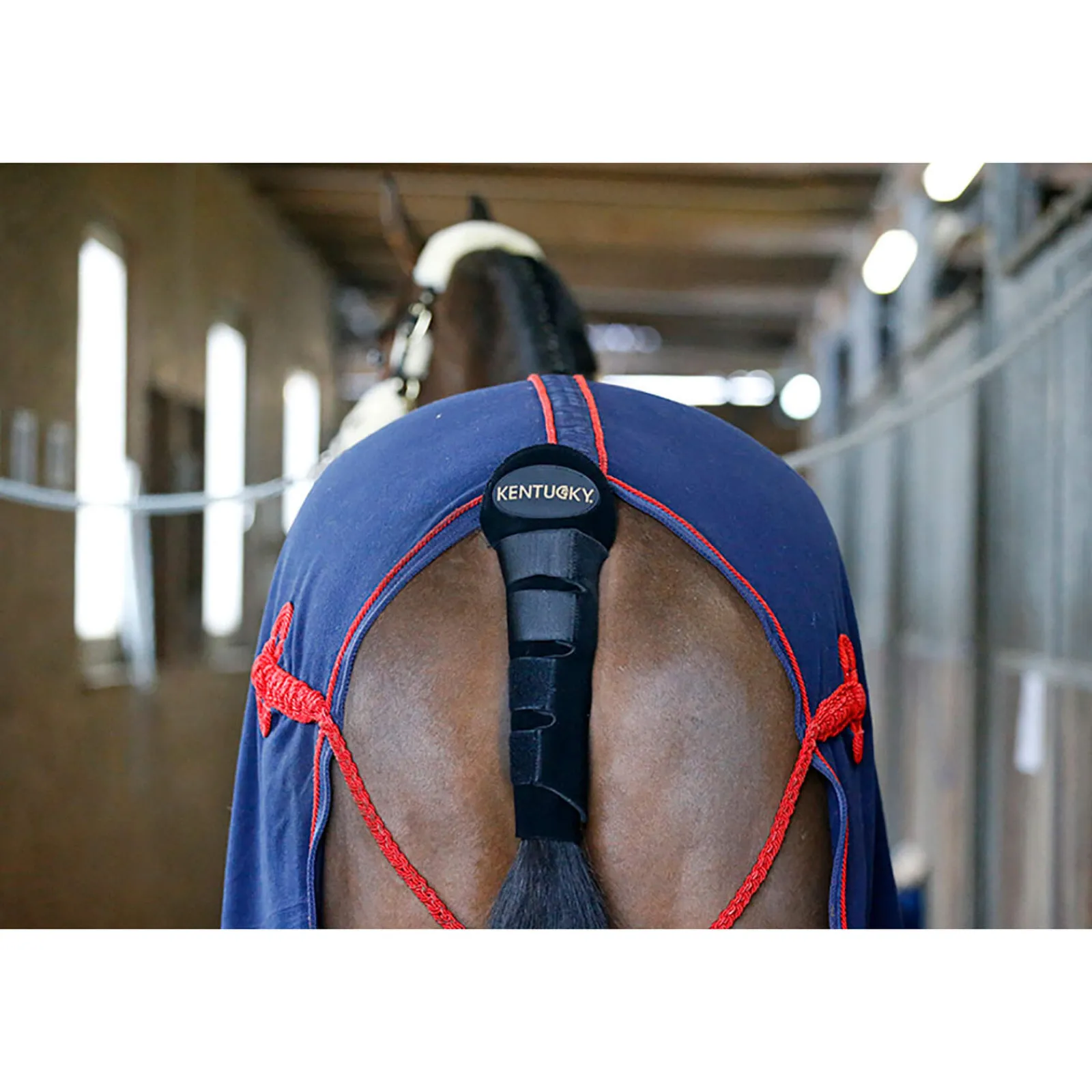 Best Horsewear Tail Guard / Tail Bag Horse Boots