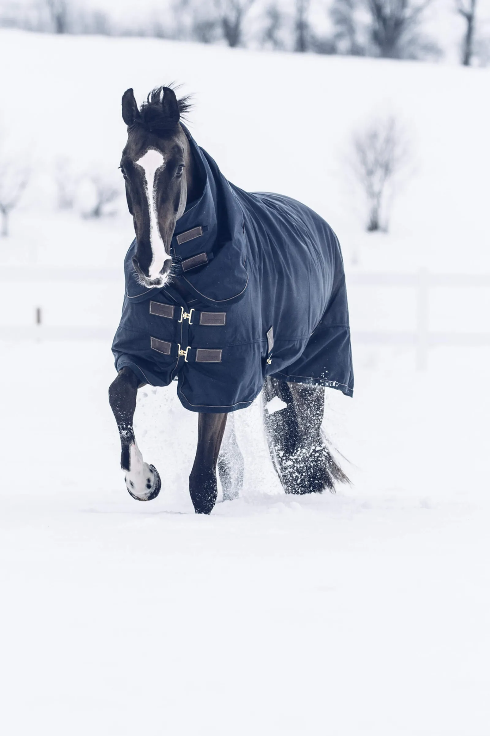 Hot Horsewear Tiny All Weather Turnout Rug, 300g Pony Rugs|Pony Rugs