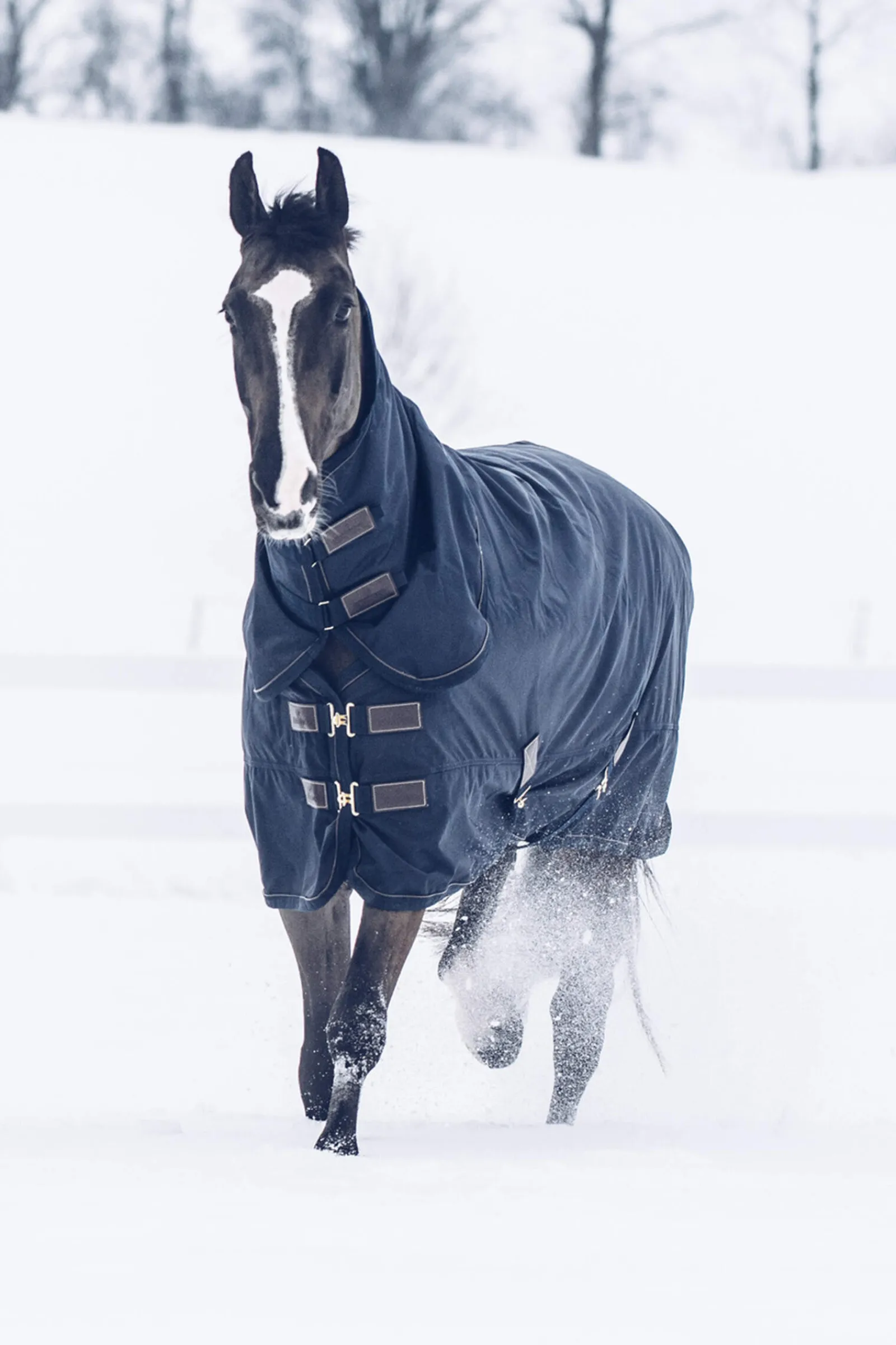 Hot Horsewear Tiny All Weather Turnout Rug, 300g Pony Rugs|Pony Rugs