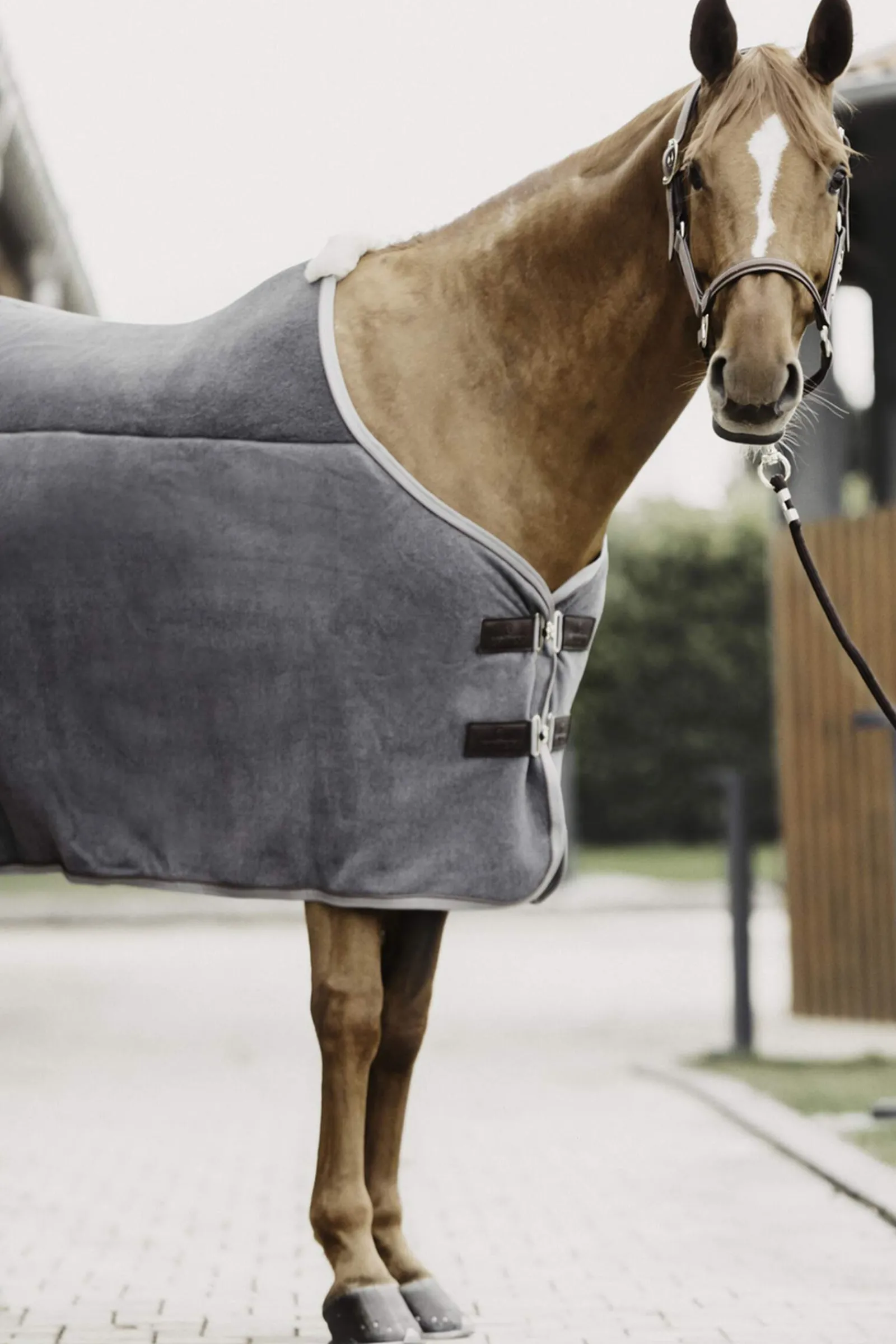 Best Horsewear Tiny Heavy Fleece Rug Pony Rugs|Pony Rugs