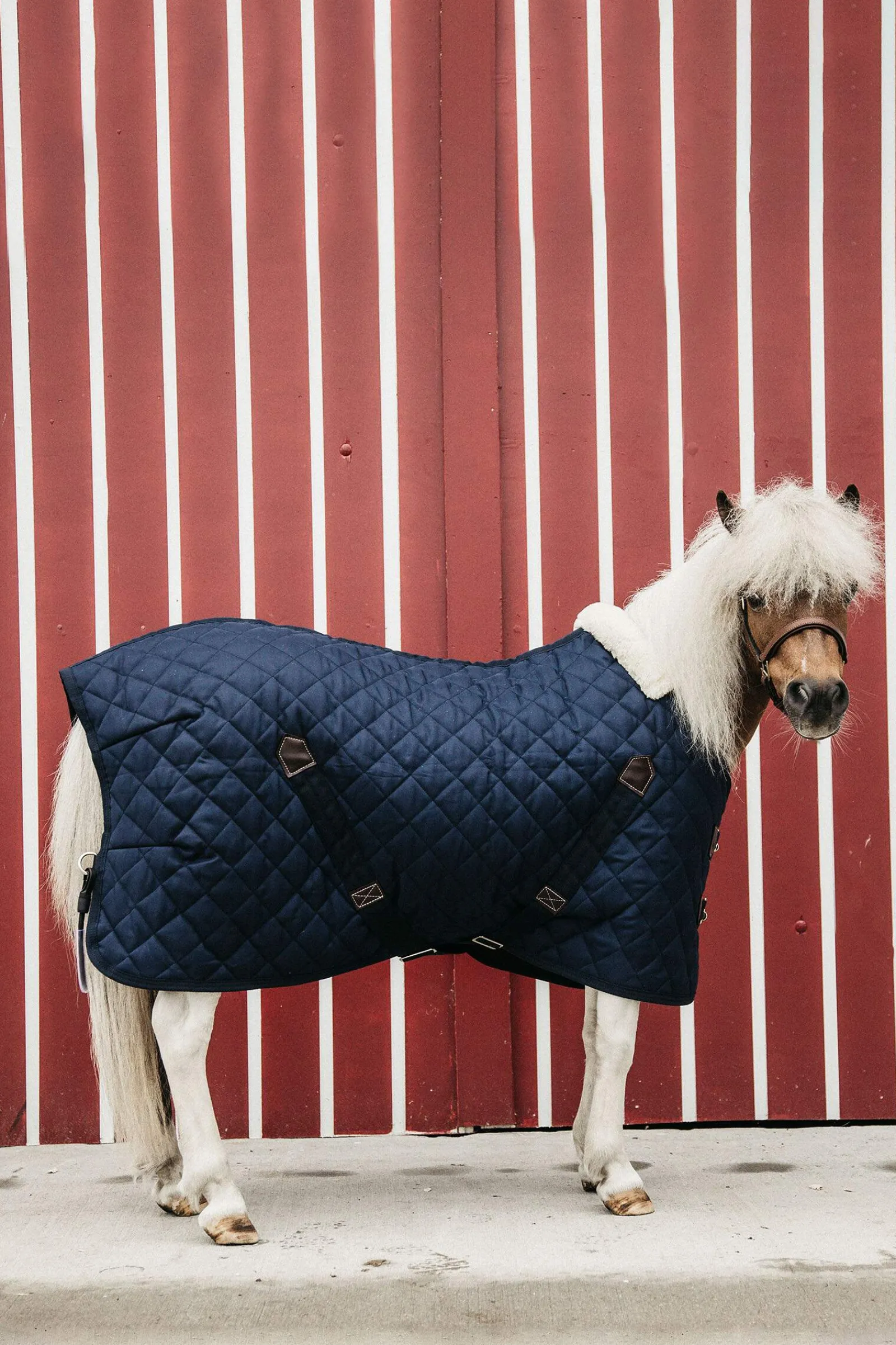 Hot Horsewear Tiny Pony Stable Rug, 400g Pony Rugs|Pony Rugs