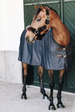 Hot Horsewear Tiny Recuptex Magnetic Rug Therapy Rugs