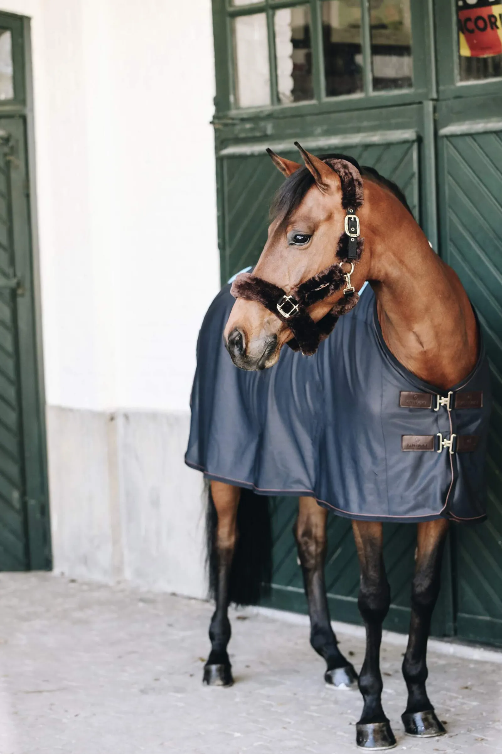 Hot Horsewear Tiny Recuptex Magnetic Rug Therapy Rugs