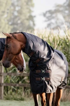 Outlet Horsewear Turnout Rug All Weather Waterproof Classic, 150g Medium & Heavyweight Turnout Rugs