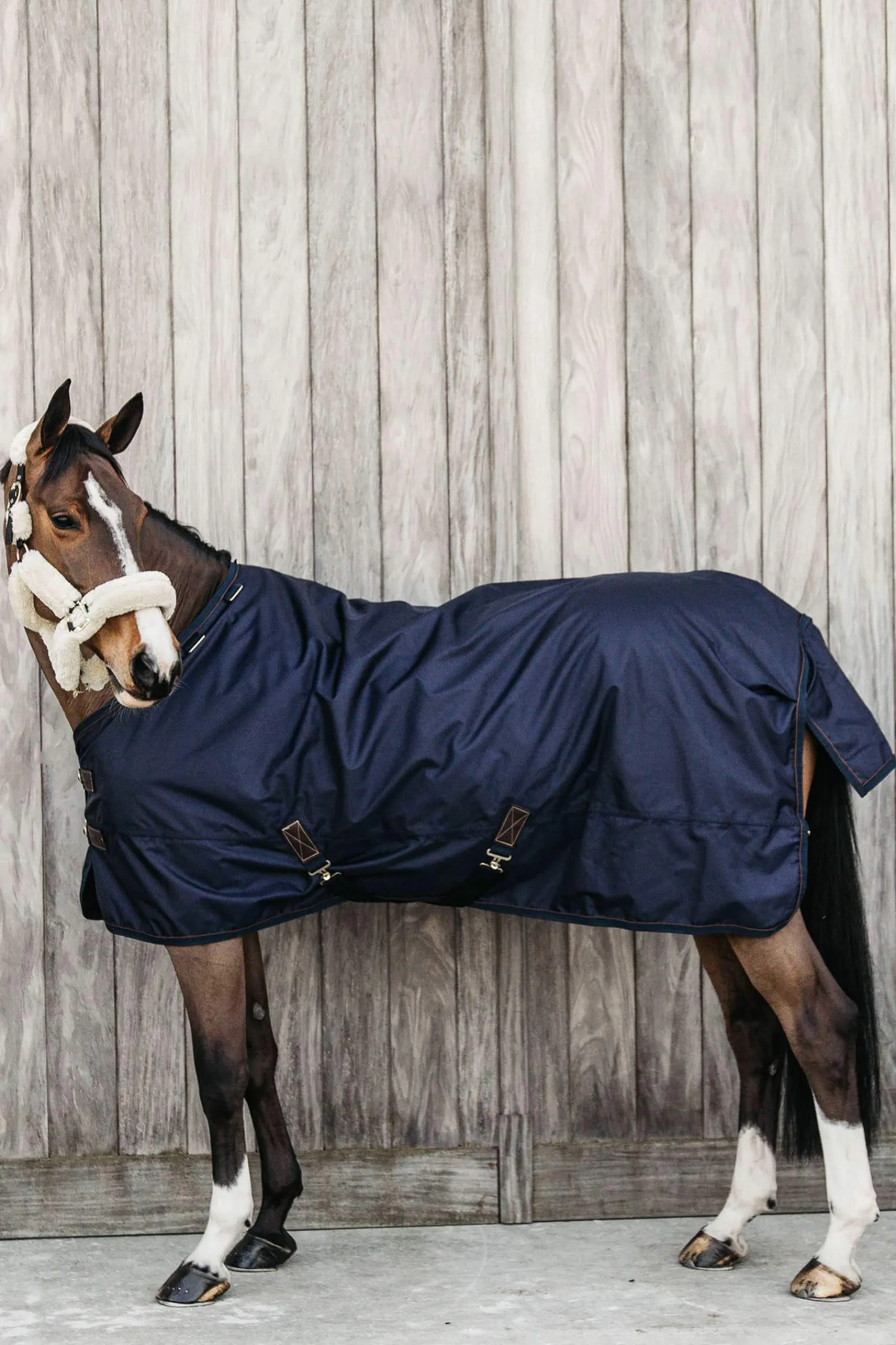 Outlet Horsewear Turnout rug all weather waterproof pro 160g Medium & Heavyweight Turnout Rugs