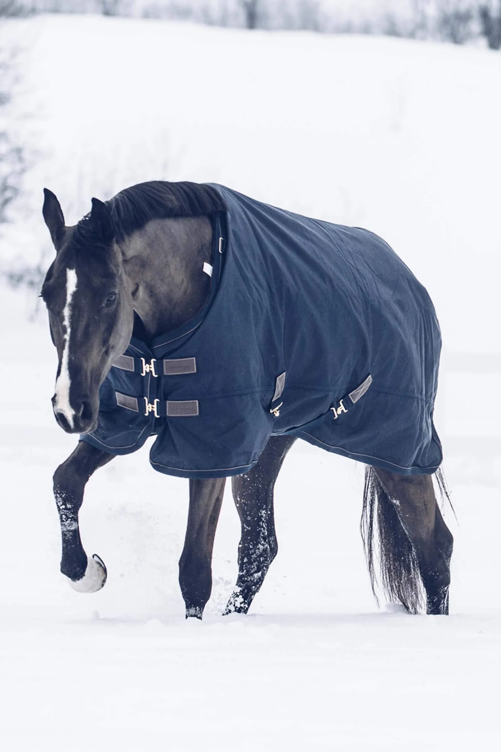 Clearance Horsewear Turnout Rug All Weather Waterproof Classic, 300g Medium & Heavyweight Turnout Rugs