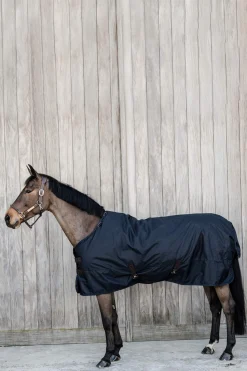 Fashion Horsewear Turnout Rug All Weather Waterproof Classic, 50g Lightweight Turnout Rugs