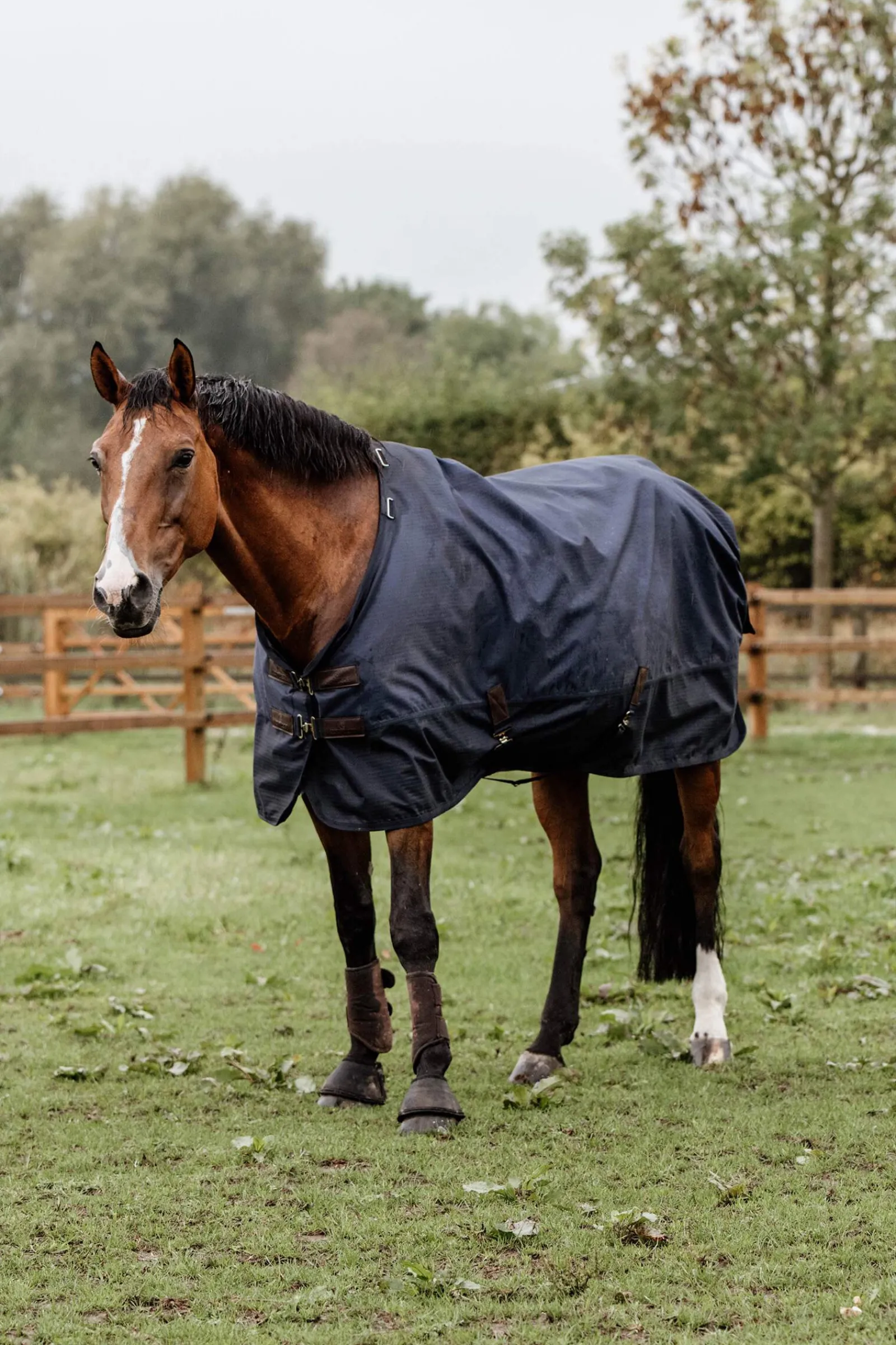 Outlet Horsewear Turnout Rug All Weather, 300g Medium & Heavyweight Turnout Rugs
