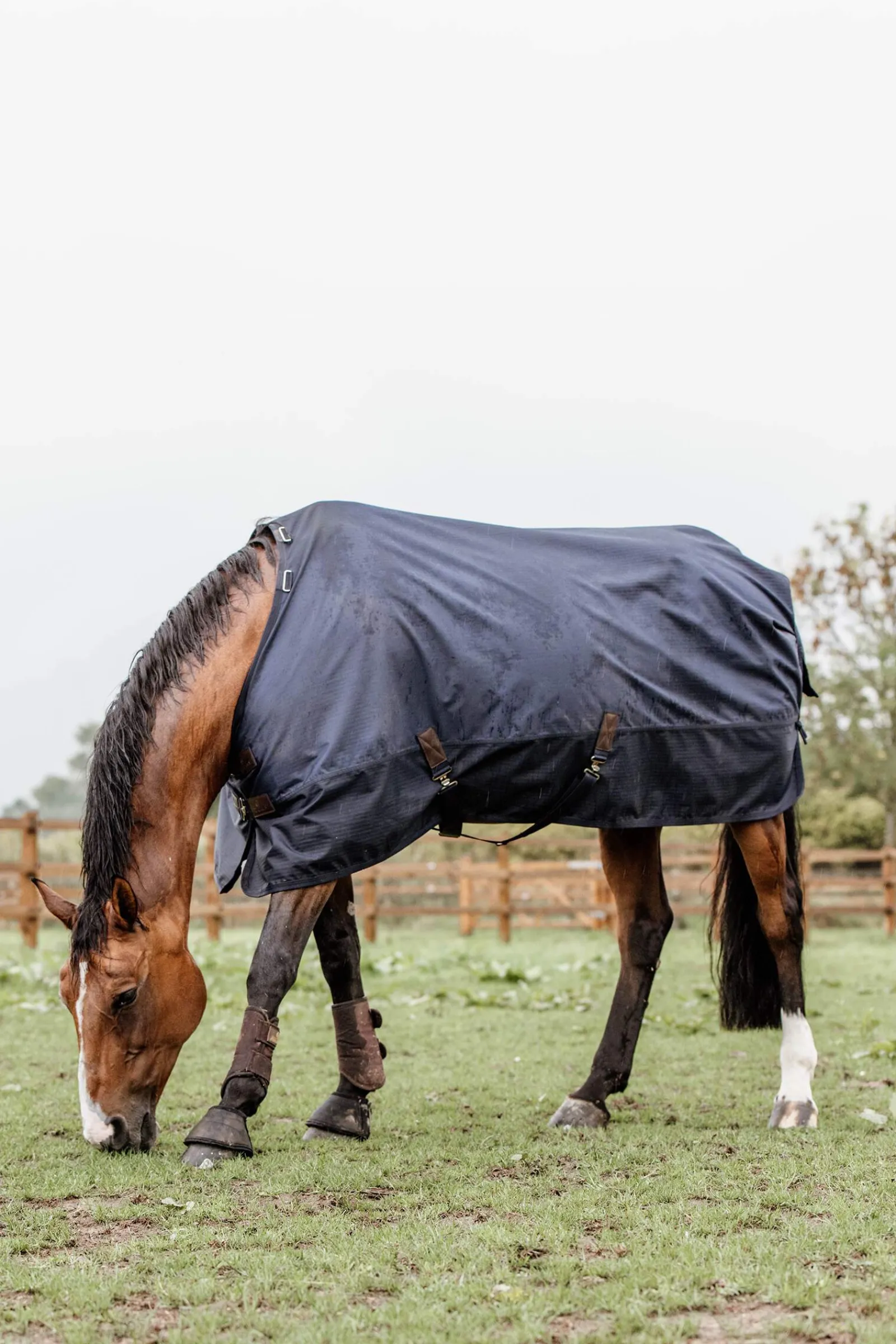Outlet Horsewear Turnout Rug All Weather, 300g Medium & Heavyweight Turnout Rugs