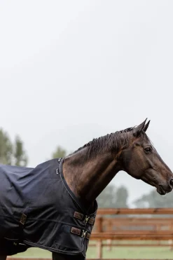 Outlet Horsewear Turnout Rug All Weather, 300g Medium & Heavyweight Turnout Rugs
