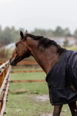 Outlet Horsewear Turnout Rug All Weather, 300g Medium & Heavyweight Turnout Rugs