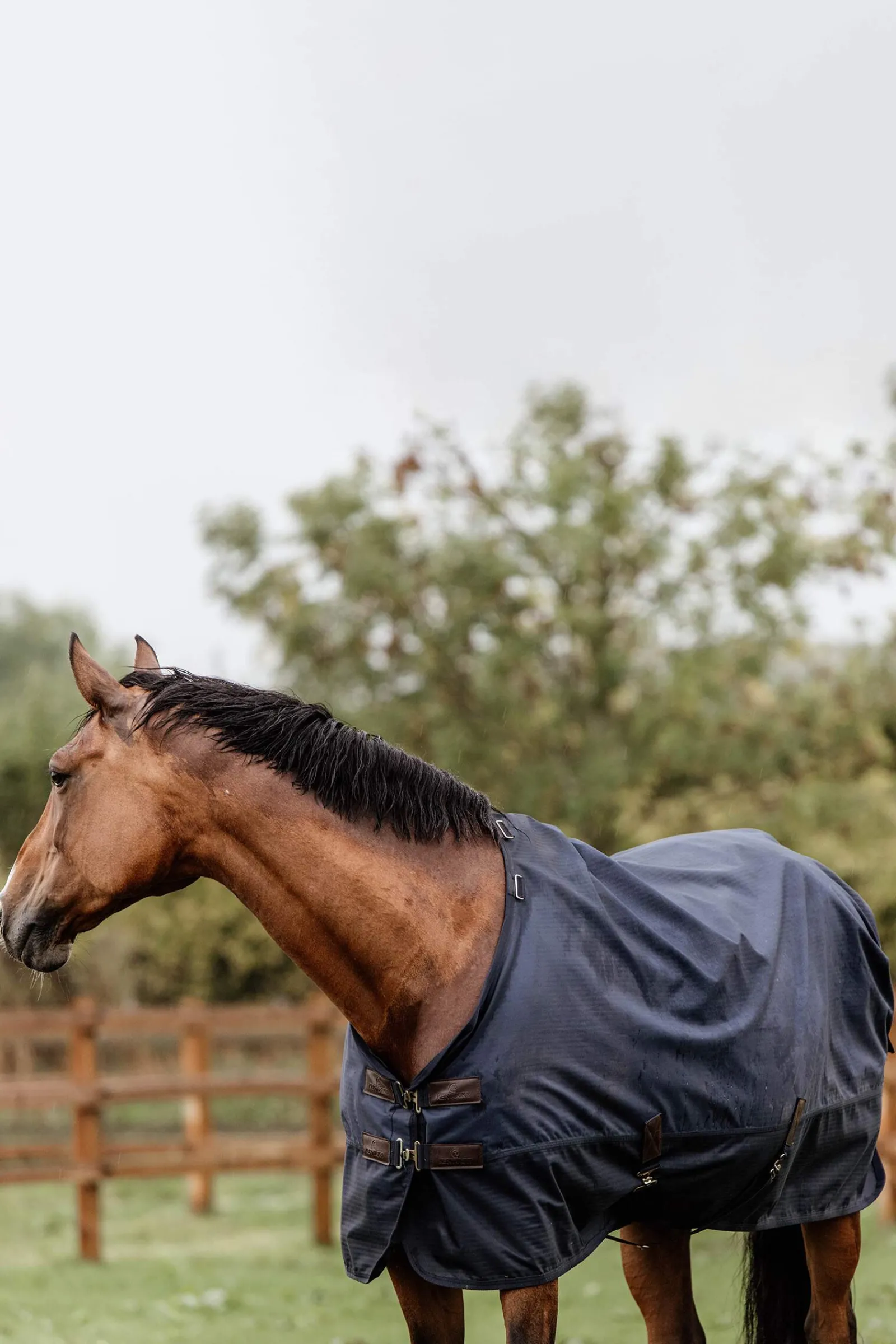 Outlet Horsewear Turnout Rug All Weather, 300g Medium & Heavyweight Turnout Rugs