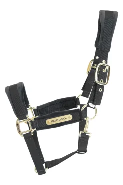 Discount Horsewear Velvet Halter Headcollars & Halters