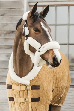 Clearance Horsewear Velvet Pony Show Rug, 160g Stable Rugs & Liners