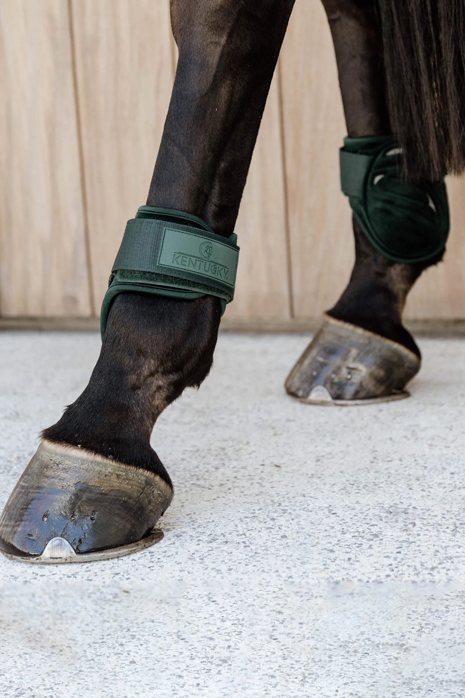Online Horsewear Velvet Young Horse Fetlock Boots Fetlock Boots