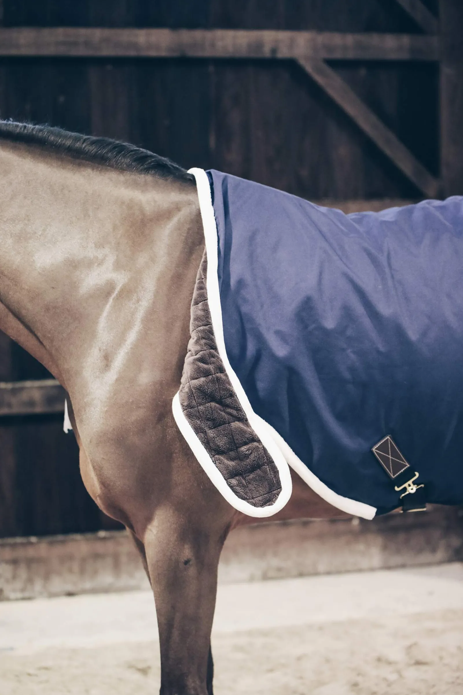 Best Horsewear Waterproof Walker Rug, 160g Walker Rugs
