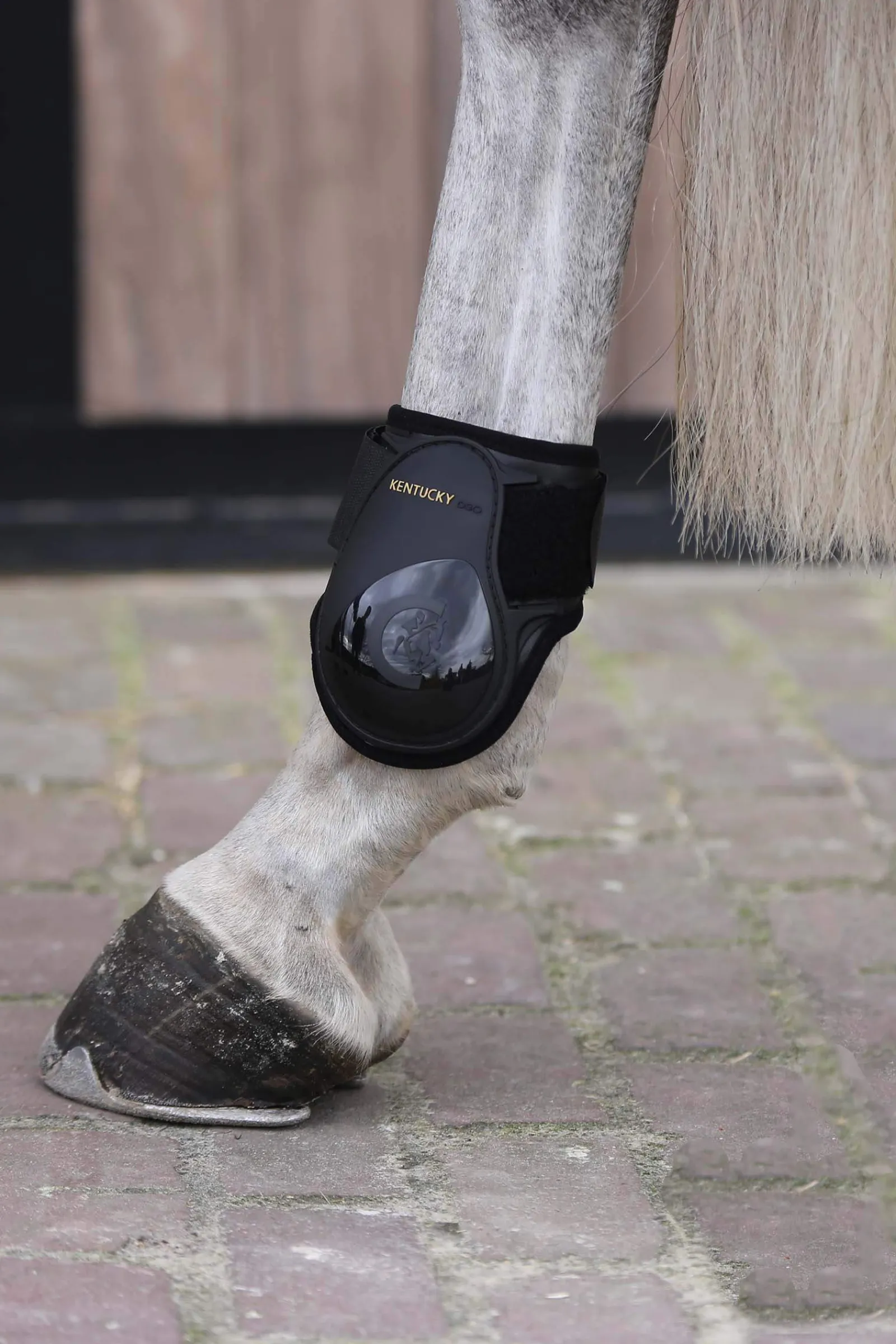 Clearance Horsewear Young Horse Fetlock Boots Fetlock Boots