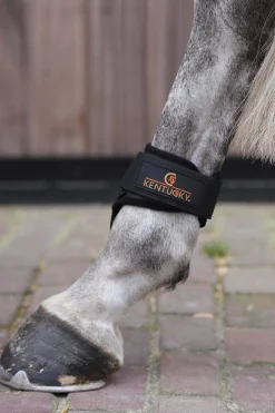 Clearance Horsewear Young Horse Fetlock Boots Fetlock Boots