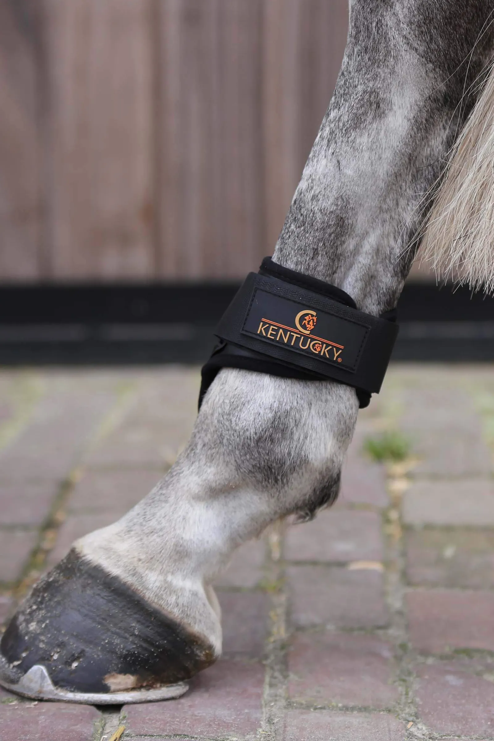 Clearance Horsewear Young Horse Fetlock Boots Fetlock Boots