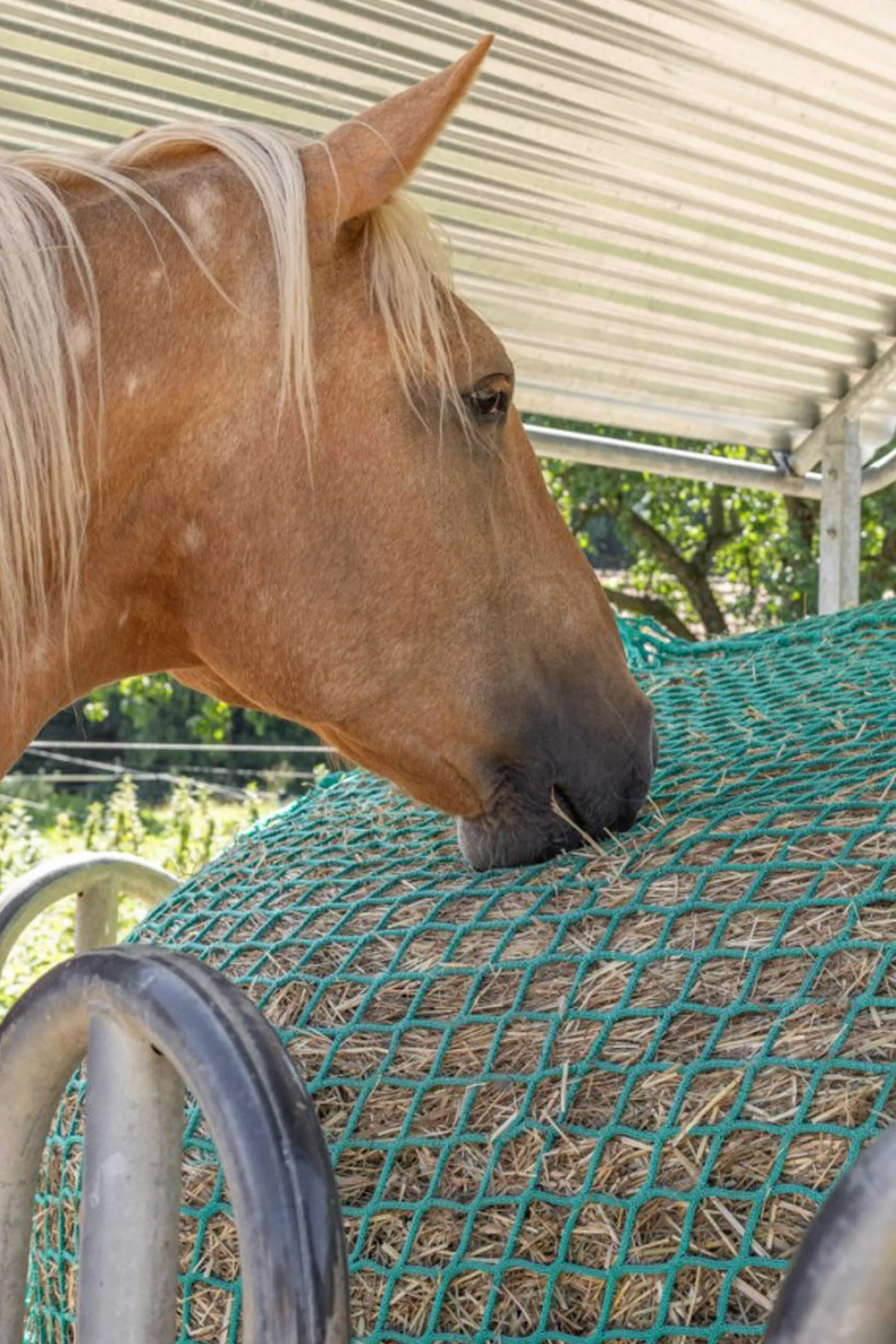 New Hay Net for Round Bales, hangable Hay Nets & Hay Bags