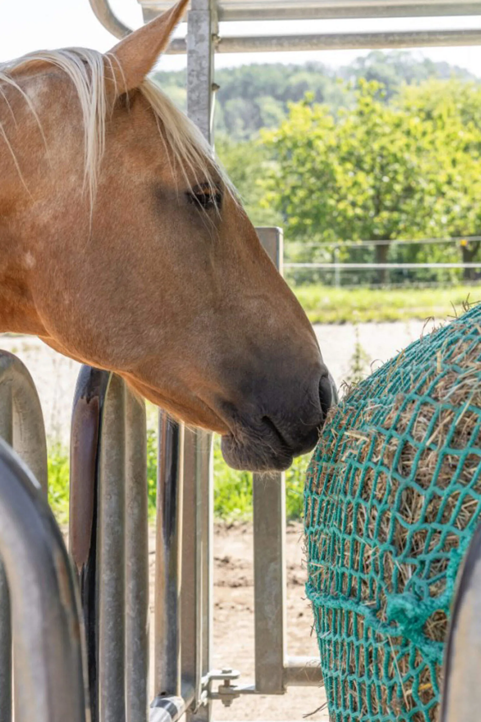 New Hay Net for Round Bales, hangable Hay Nets & Hay Bags