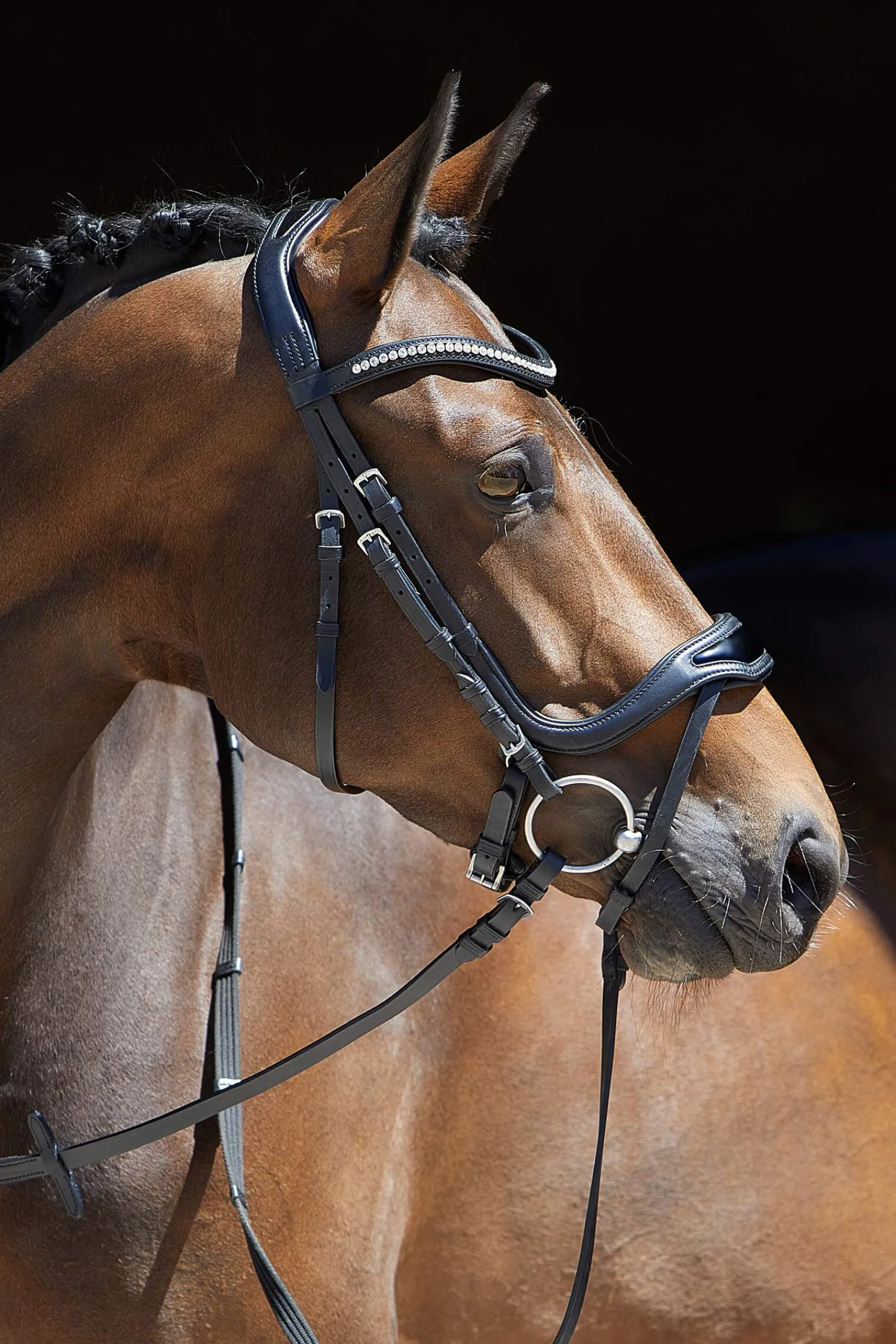 Discount Anouk Softtech Line Bridle Pony Bridles & Halters|Bridles & Nosebands