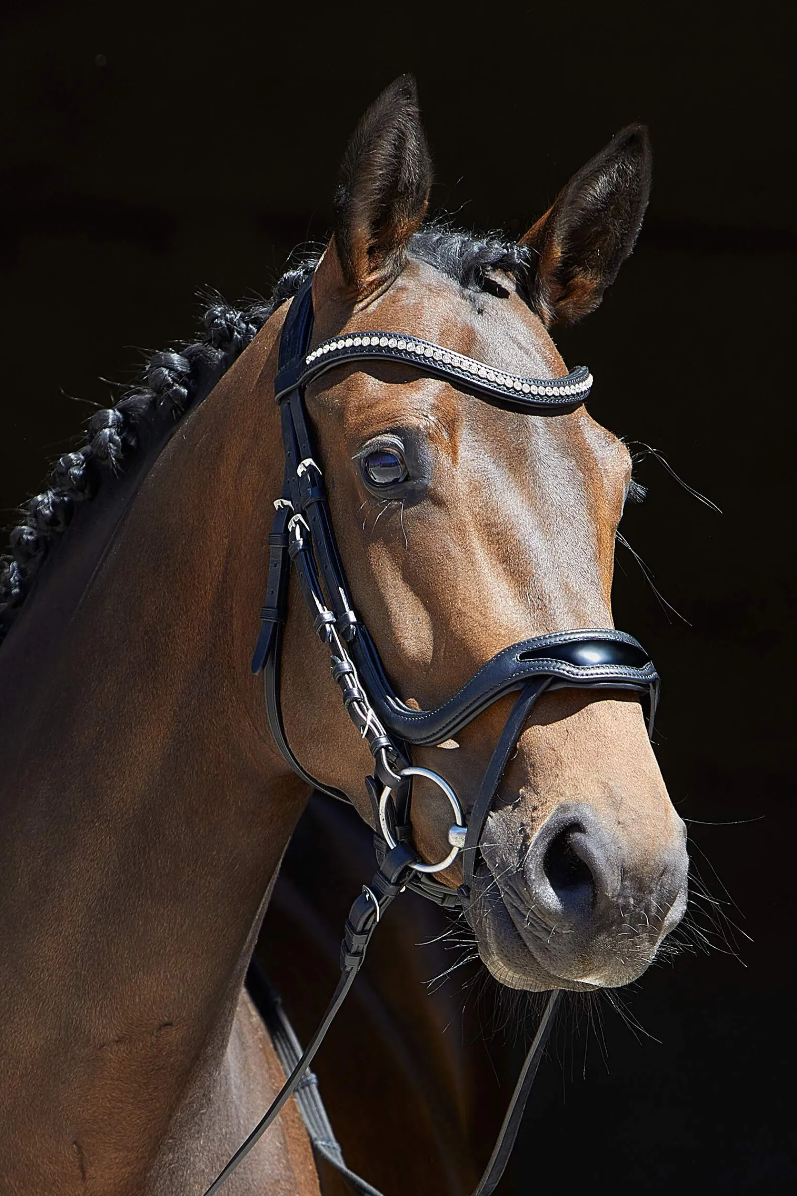 Discount Anouk Softtech Line Bridle Pony Bridles & Halters|Bridles & Nosebands